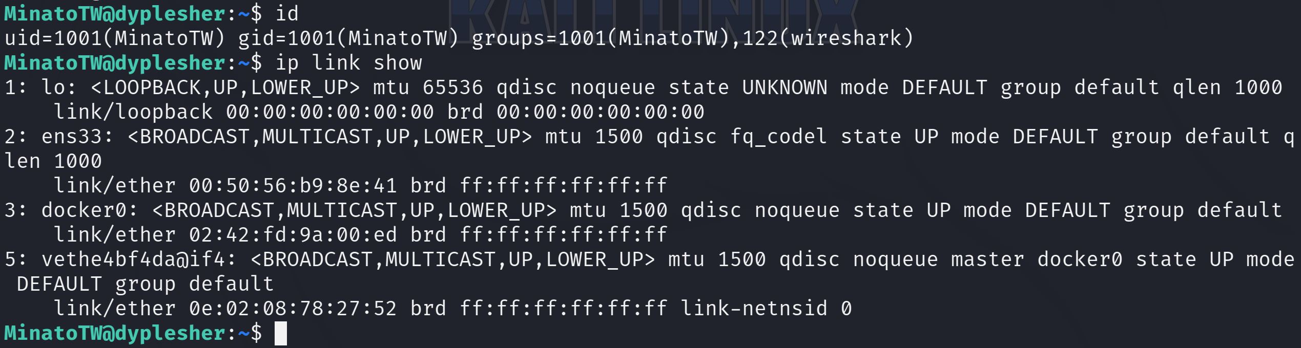 ip_link_show