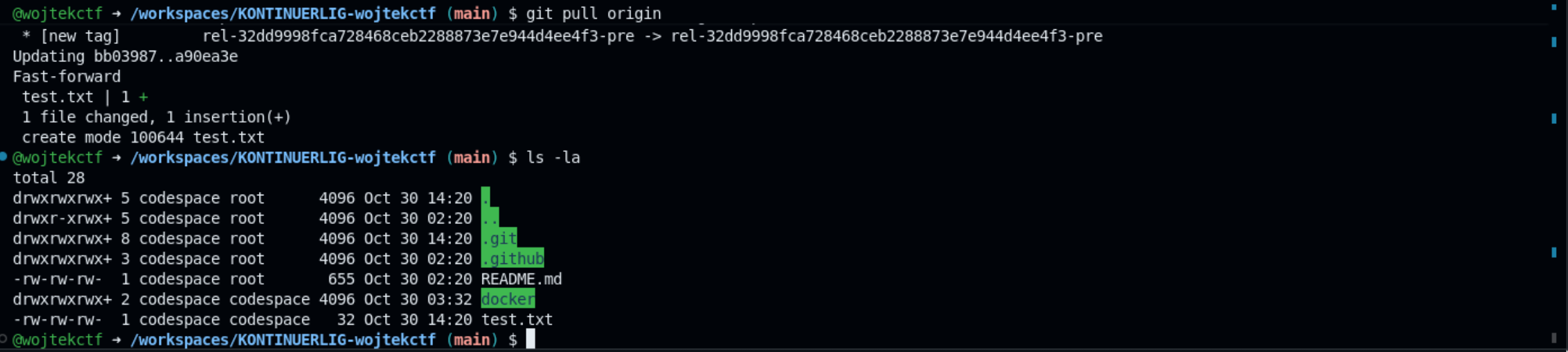 Verifying test.txt on main branch in Codespaces